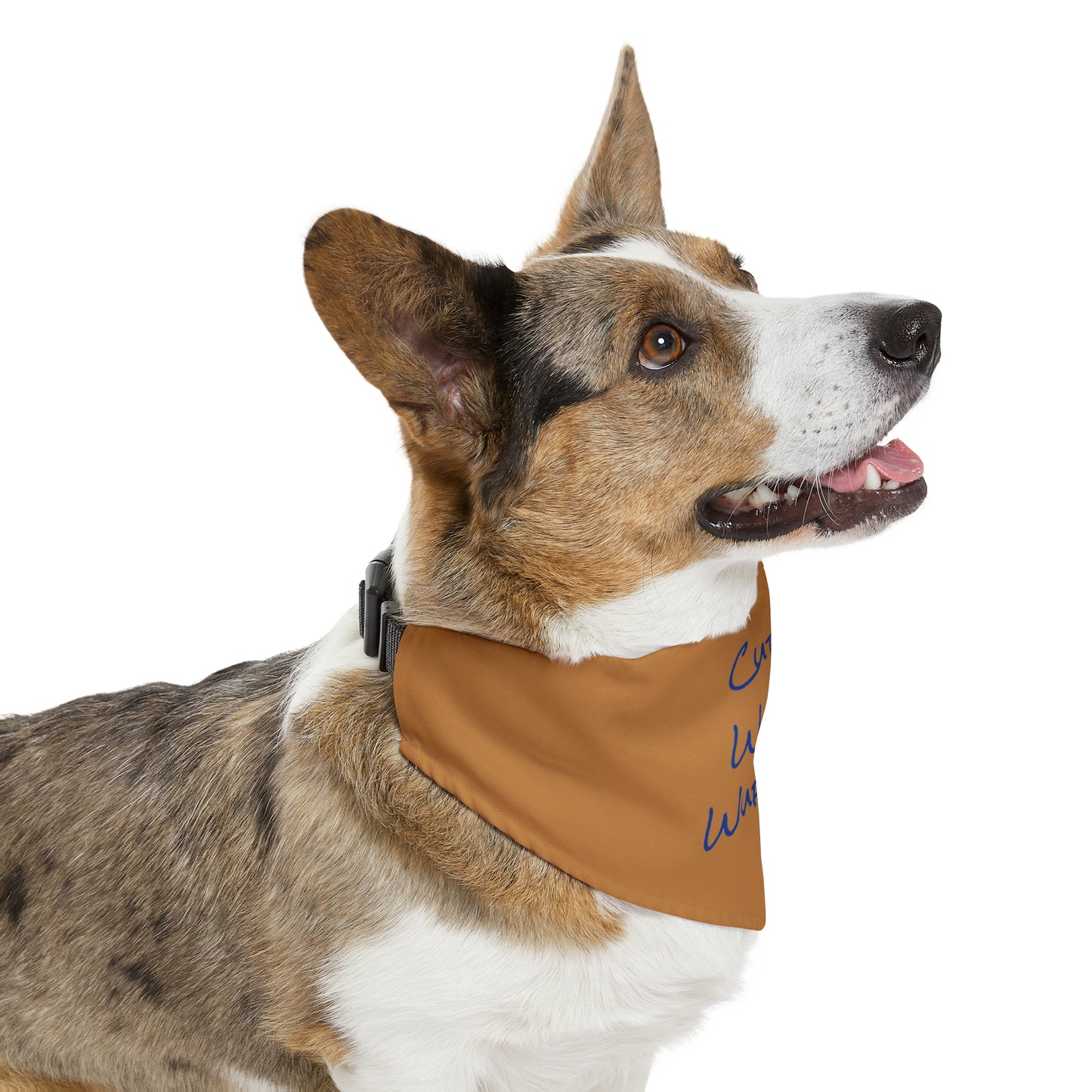 Cute Wuff Wuff Pet Bandana Collar